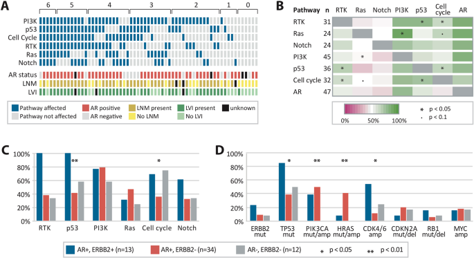 Fig. 6: Co-occurrence of oncogenic events in different pathways.