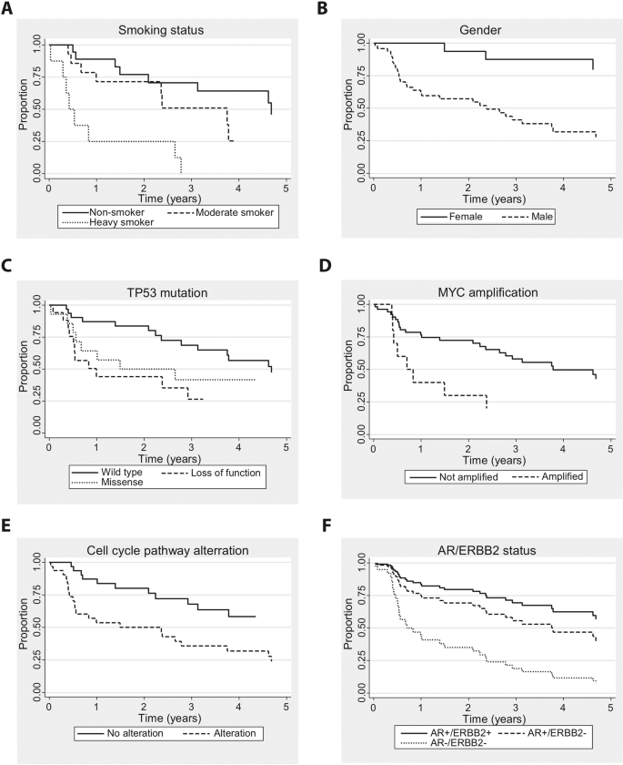 Fig. 7: Kaplan–Meier curves illustrating disease-free survival (DFS) of patients suffering from salivary duct carcinoma (SDCa).