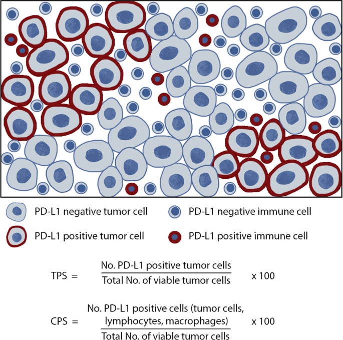 Fig. 1: Calculation of TPS and CPS.