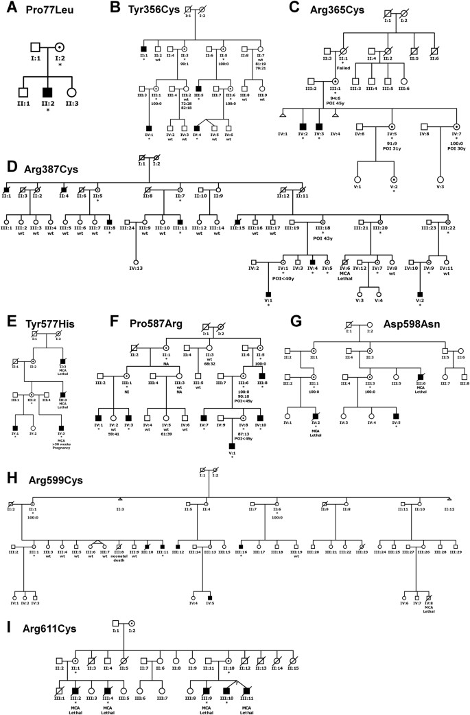 Pathogenic Variants In Ubiquitin Ligase Rlim Rnf12 Lead To A Syndromic X Linked Intellectual Disability And Behavior Disorder Molecular Psychiatry