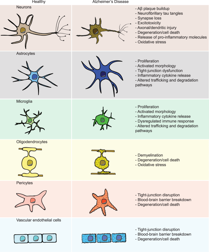 Modeling Alzheimer S Disease With Ipsc Derived Brain Cells Molecular Psychiatry - 150 bypassed roblox id s 2019 august 2019 leaked codes works