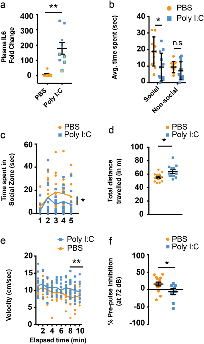 Maternal Inflammation Has A Profound Effect On Cortical Interneuron Development In A Stage And Subtype Specific Manner Molecular Psychiatry