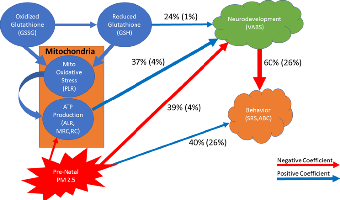 Prenatal air pollution influences neurodevelopment and behavior in autism  spectrum disorder by modulating mitochondrial physiology