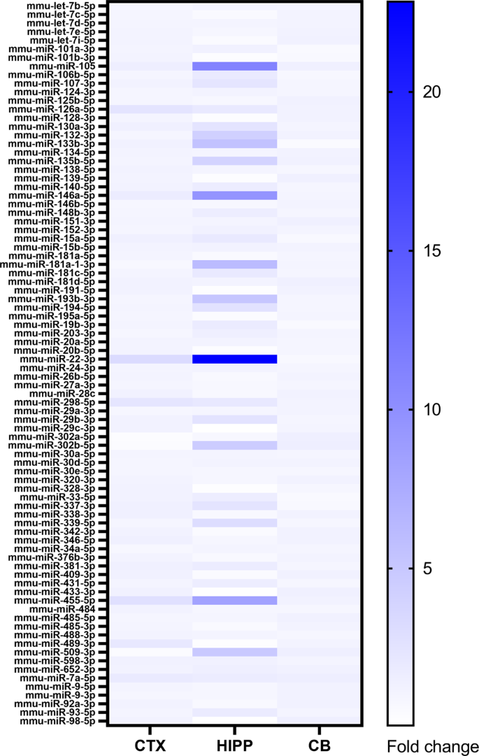 Regional And Temporal Mirnas Expression Profile In A Transgenic Mouse Model Of Tauopathy Implication For Its Pathogenesis Molecular Psychiatry