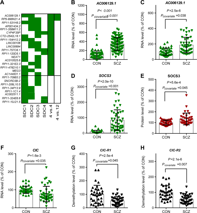 Lncrna Ac 1 Reactivates A Socs3 Mediated Anti Inflammatory Response Through Dna Methylation Mediated Cic Downregulation In Schizophrenia Molecular Psychiatry Lncrna Ac 1 Reactivates A Socs3 Mediated Anti Inflammatory Response Through Dna Methylation Mediated Cic Downregulation In Schizophrenia Molecular Psychiatry