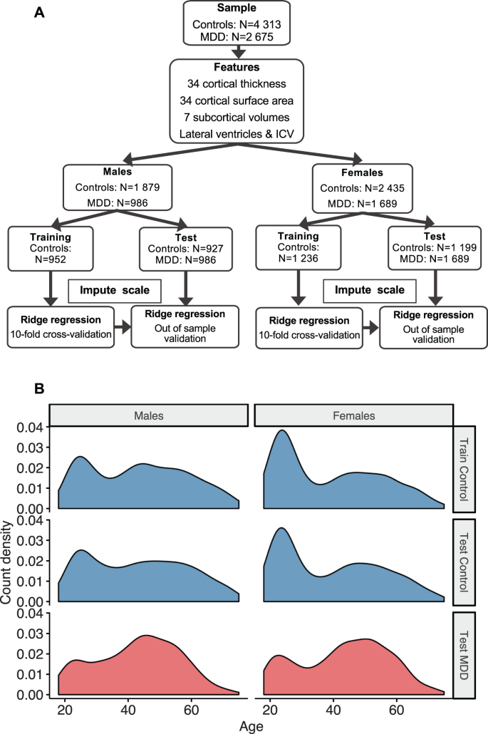 Brain aging in major depressive disorder: results from the ENIGMA major  depressive disorder working group | Molecular Psychiatry