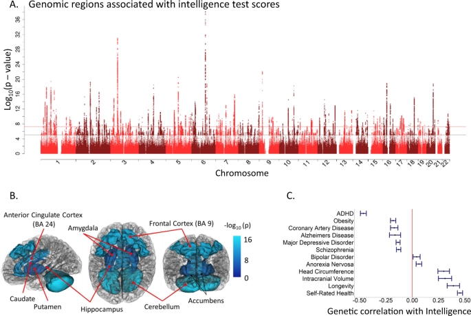research study of genetics figure 2