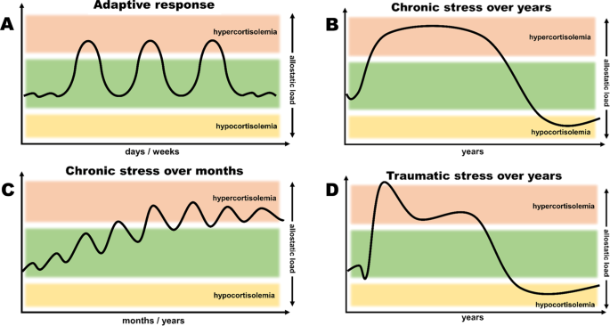 kortizol u sportu, visoki kortizol simptomi, sindrom pretreniranosti, HPA os disregulacija, kortizol i mišićna atrofija, oporavak sportaša, suplementi za snižavanje kortizola,utjecaj kortizola na testosteron i SHBG, jutarnji kortizol kod elitnih sportaša, kako mjeriti kortizol iz sline,