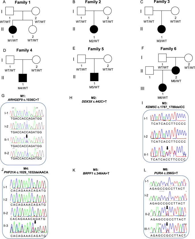 Fig. 3: Families with high confidence variants analysed by genome sequencing.