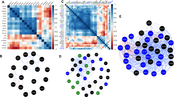 Fig. 5: CAS candidate gene co-expression.