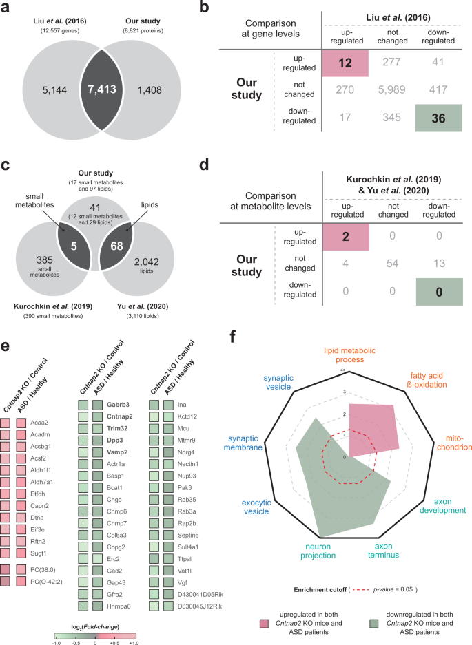 Cntnap2-dependent molecular networks in autism spectrum disorder revealed  through an integrative multi-omics analysis | Molecular Psychiatry