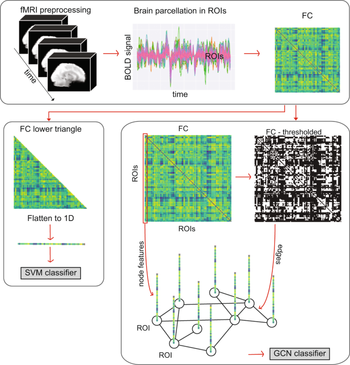 Fig. 1: Pipeline from 4D rs-fMRI data to input for the classification task.