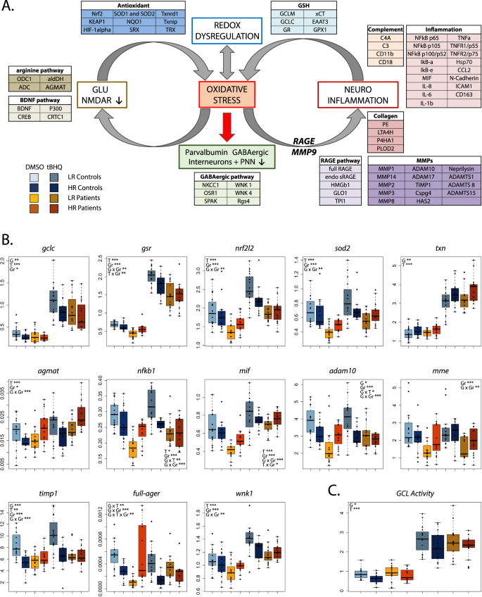Fig. 1: General scheme of hypothesis-driven gene selection in different pathways and the corresponding boxplots of selected gene expression.