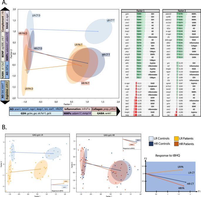 Fig. 2: Factorial analysis with rotation to visualize the pathways that are differentially regulated in patients and controls.