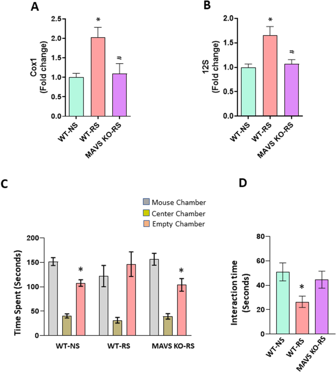 Mitochondrial DNA and TLR9 activation contribute to SARS-CoV-2-induced  endothelial cell damage. - Abstract - Europe PMC