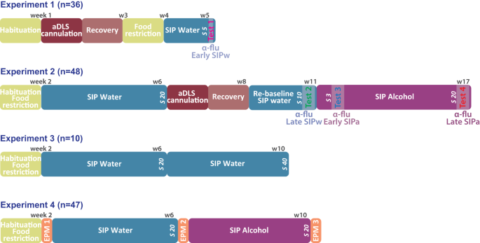 Fig. 1: Timeline of the experiments.