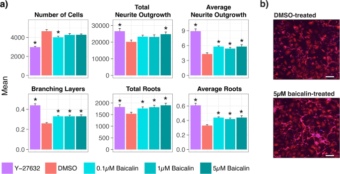 Effects of baicalin on neurite outgrowth.