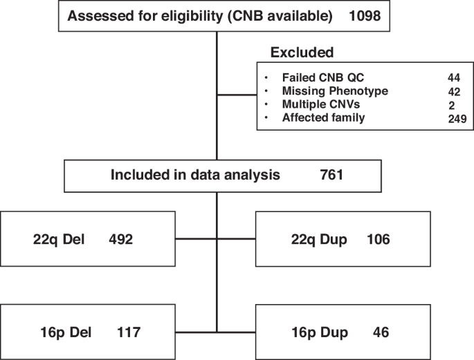 Fig. 1: Consort diagram of sample with computerized neurocognitive battery (CNB) data.