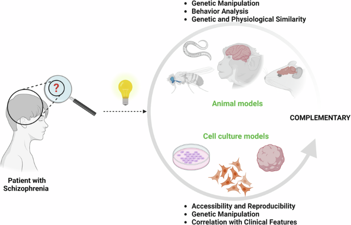 covid 19 disease research paper