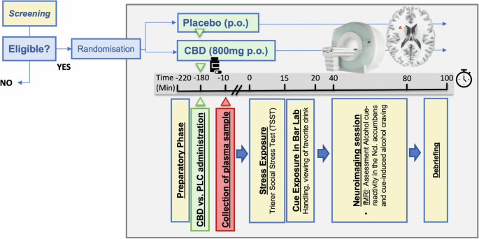 Fig. 1: Schematic overview of the trial design.