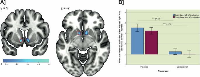Fig. 2: Treatment effect on cue-induced activation in the left and right NAc.