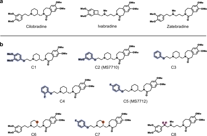 Fig. 1: Chemical structures of Cilobradine, Ivabradine and Zatebradine and their analogs designed and synthesized to improve BBB permeability.