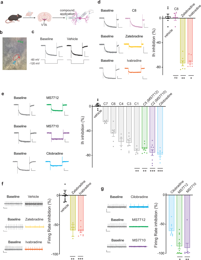 Fig. 2: Novel HCN inhibitors exhibit a range of efficacy on VTA dopamine neurons compared to parent compounds.