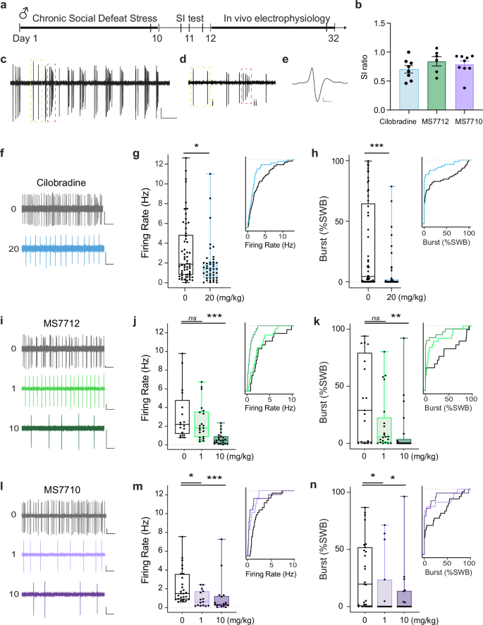 Fig. 4: Novel HCN inhibitors MS7710 and MS7712 reverse CSDS-induced hyperdopaminergia in male CSDS-susceptible mice.