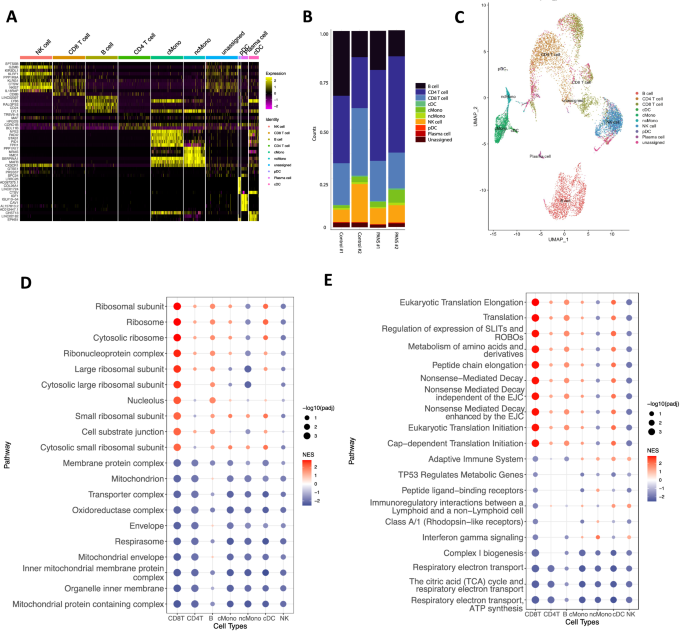 Fig. 4: Single- cell blood RNA sequencing of Paediatric acute neuropsychiatric syndrome patients versus controls.