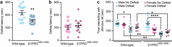 Fig. 2: Social interaction is reduced in defeated S1PR3GRE-/GRE- males and non-defeated S1PR3GRE-/GRE- females.