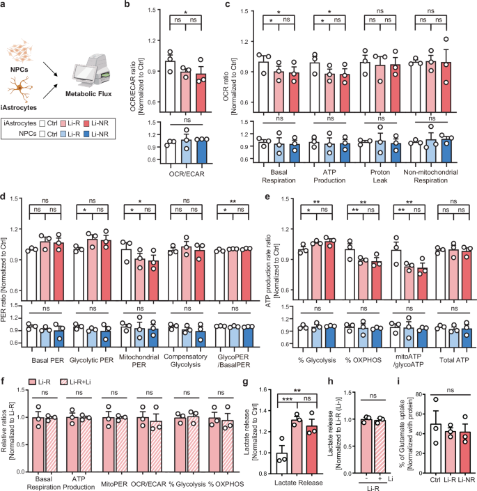 Fig. 3: Metabolic alterations of OXPHOS and glycolysis in BD iAstrocytes.