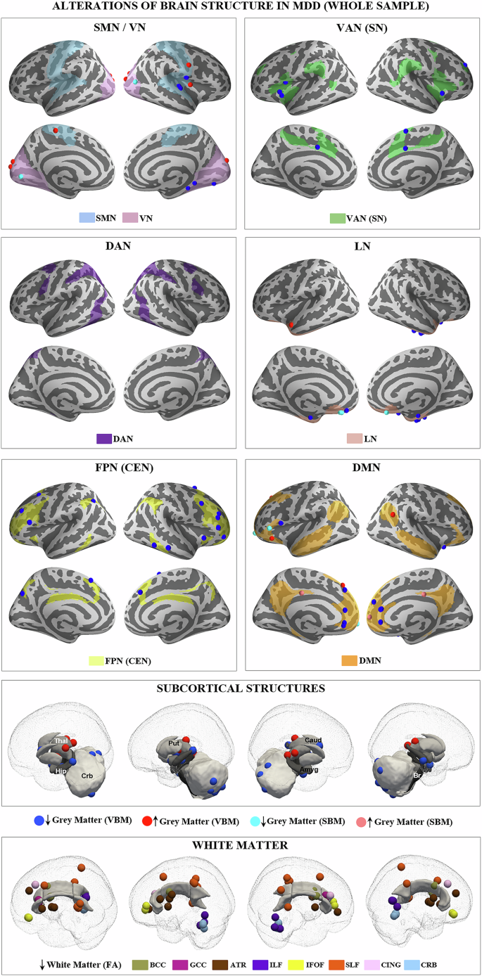 A working model linking the psychopathology and pathophysiology of ...