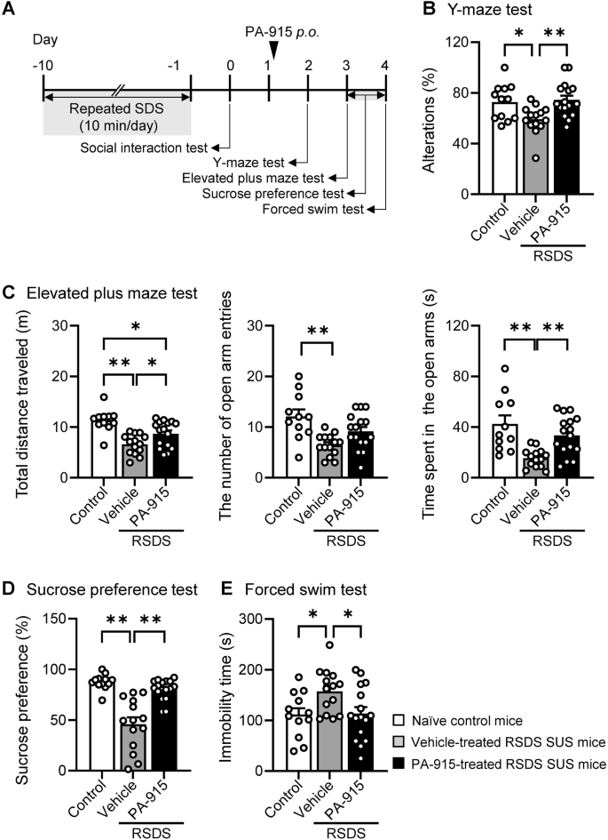 Fig. 4: Oral administration of PA-915 ameliorated behavioral impairments in susceptible (SUS) mice after repeated exposure to social defeat stress.