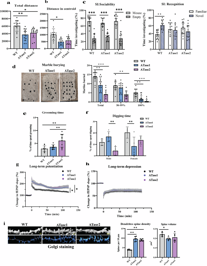 Fig. 2: ATases nTg mice display autistic-like behaviors and altered synaptic plasticity.