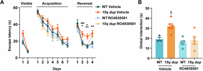 Fig. 3: Chronic treatment with RO4938581 attenuates impaired reversal learning and abnormal social behavior of 15q dup mice.