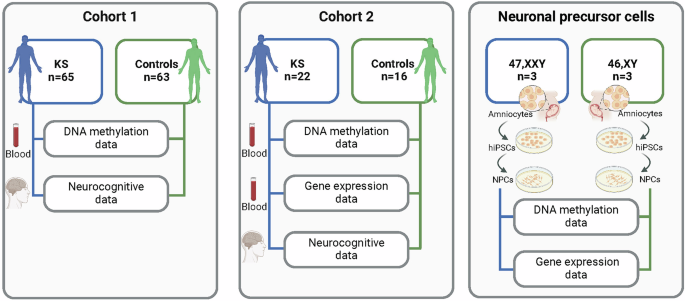 Fig. 1: Overview of the cohorts, cells, tissue types and data included in the study.