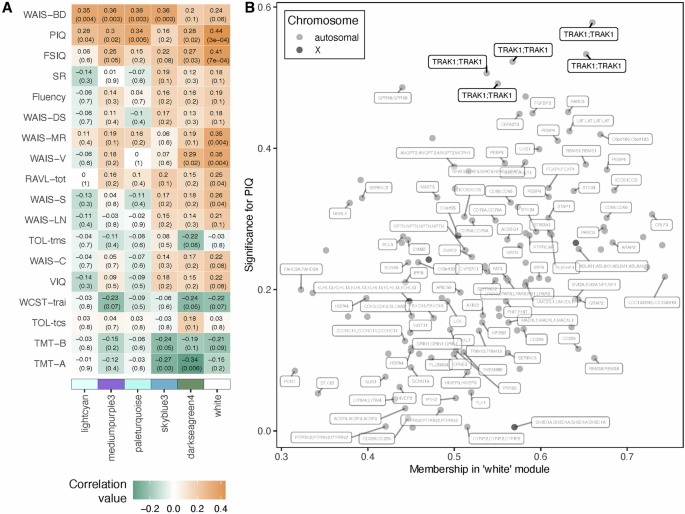 Fig. 2: Weighted gene correlation network analysis (WGCNA).
