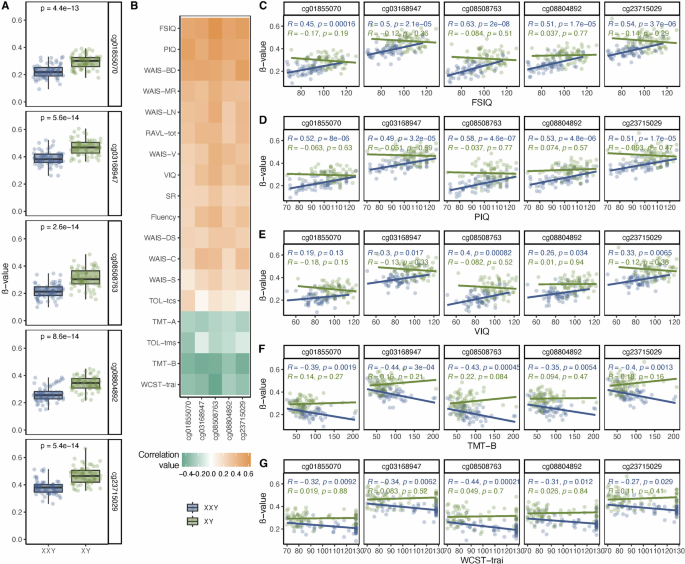 Fig. 3: Methylation at CG-sites within TRAK1 and correlation to neurocognitive traits.