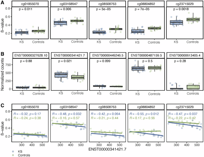 Fig. 4: Methylation at CG-sites within TRAK1 and expression of TRAK1 transcripts.