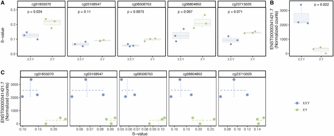 Fig. 5: Methylation at CG-sites within TRAK1 and expression of ENST00000341421.7 (st-TRAK1) within neural precursors.