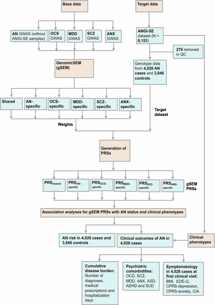 Fig. 1: Flow chart of the current study.