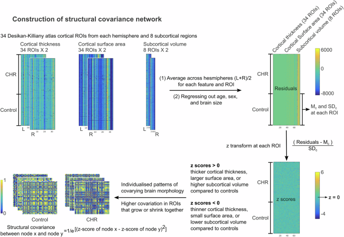 Fig. 1: Construction of structural covariance network.