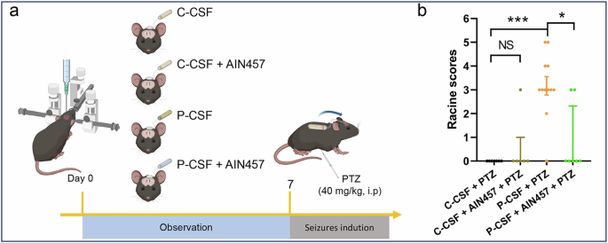 Fig. 7: Neutralizing IL-17 alleviates neuronal hyperexcitability in mice exposed to NMDARE patient CSF.