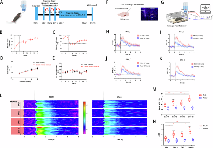 Fig. 1: Chronic Ethanol Exposure Dynamically Reshapes VTA DA Neuron Activity in Vivo.