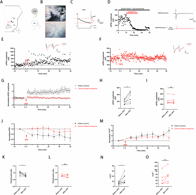 Fig. 2: Chronic Ethanol Exposure impairs LTPGABA in a Presynaptic manner in VTA DA Neurons.