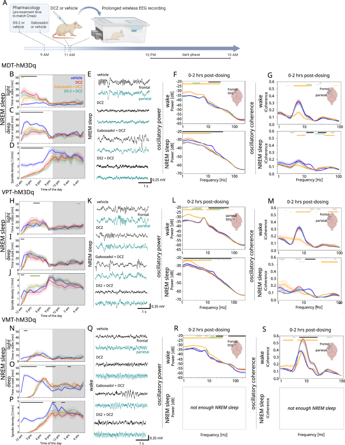 Fig. 4: Effects of pharmacological activation of GABAAδ receptors on sleep physiology and oscillatory activity.