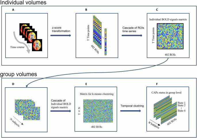 Fig. 1: Schematic overview of the CAP analysis pipeline.
