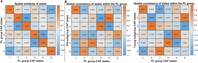 Fig. 2: Spatial similarity and subgroup consistency of CAP states in the placebo (PL) group.