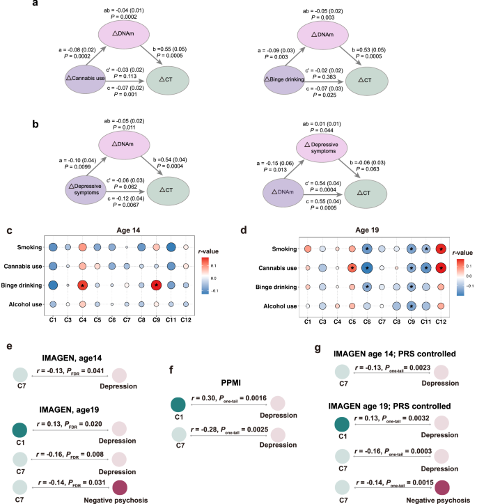 Fig. 5: Mediation models and cluster-specific DNAm associations with psychopathology.
