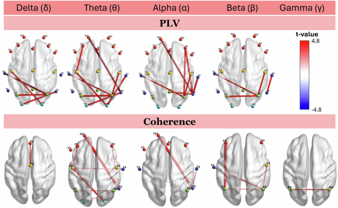 Fig. 4: Functional connectivity.